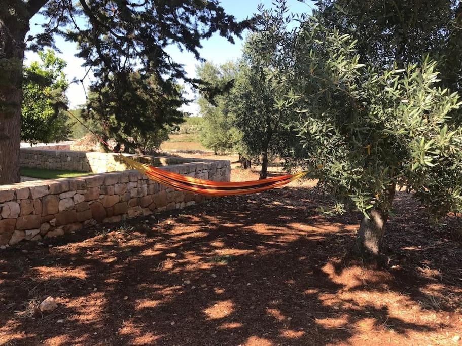 Villa Dominique Relax A Pochi Kilometri Dal Mare Carovigno Exterior foto